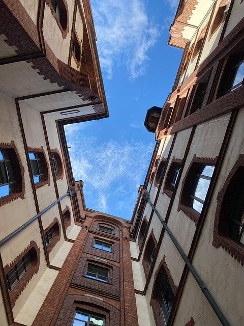 Gen Z Activities Without Technology