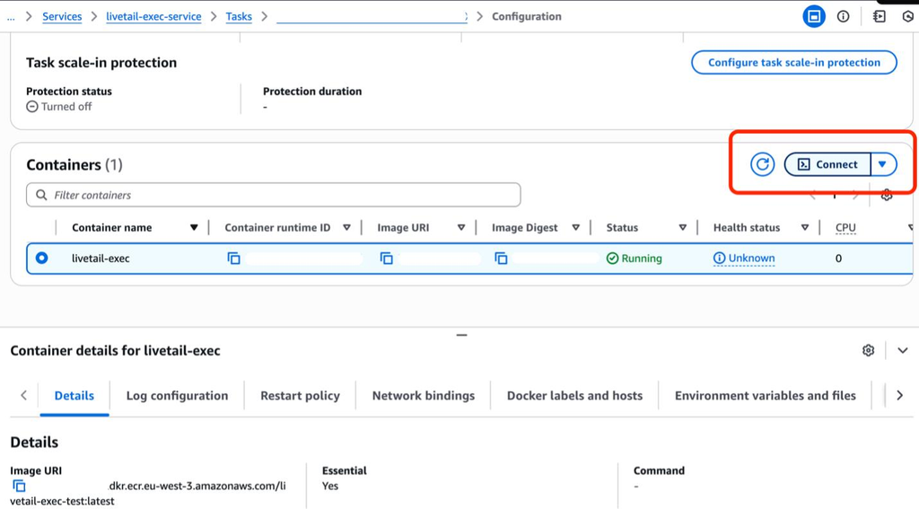 Illustrative ECS Exec terminal session showing harmless diagnostic commands used to inspect a running container and test an application health endpoint.